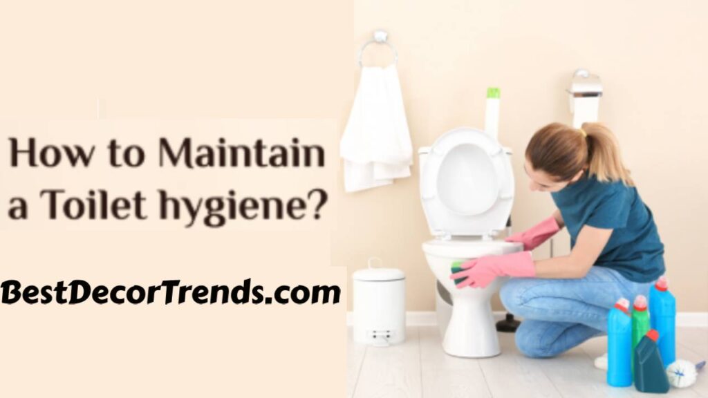 What is simple toilet hygiene? Bestdecortrends